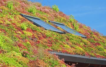 Stramshall living roof systems