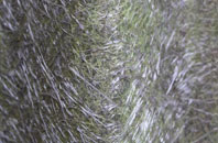 Stramshall fibreglass roof work